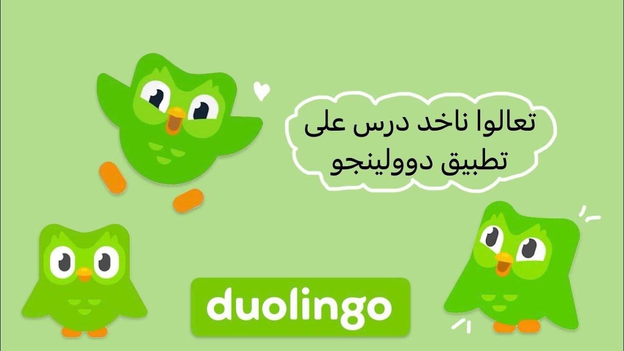 خذوا معي درس على تطبيق دوولينجو 😉 