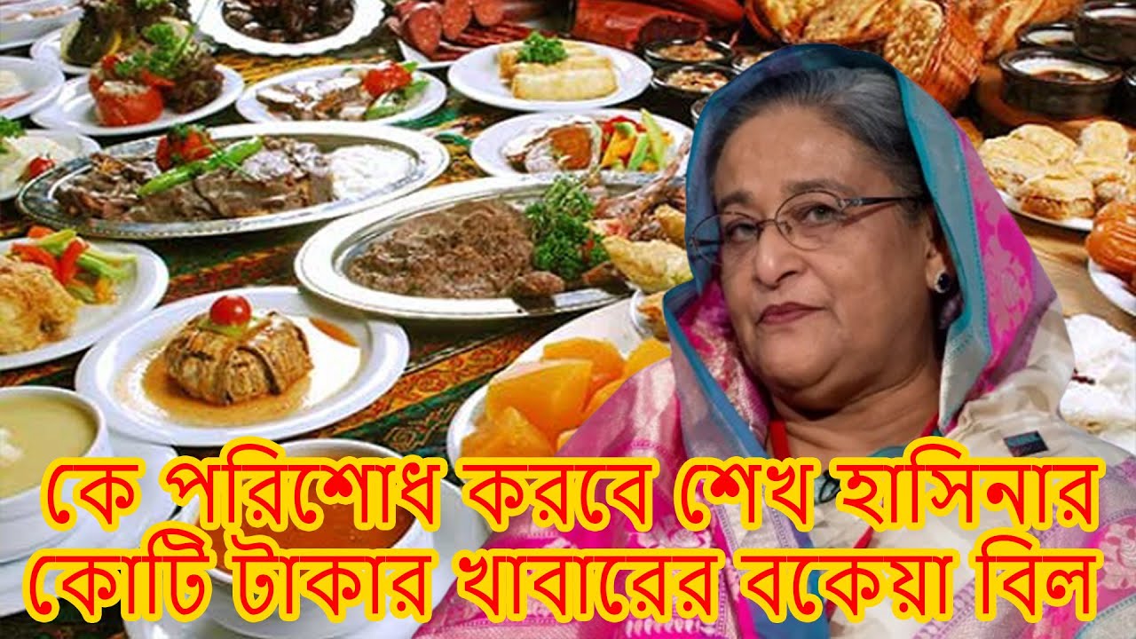 কে পরিশোধ করবে শেখ হাসিনার কোটি টাকার খাবারের বকেয়া বিল | Sheikh Hasina's food bill | Drishti 24