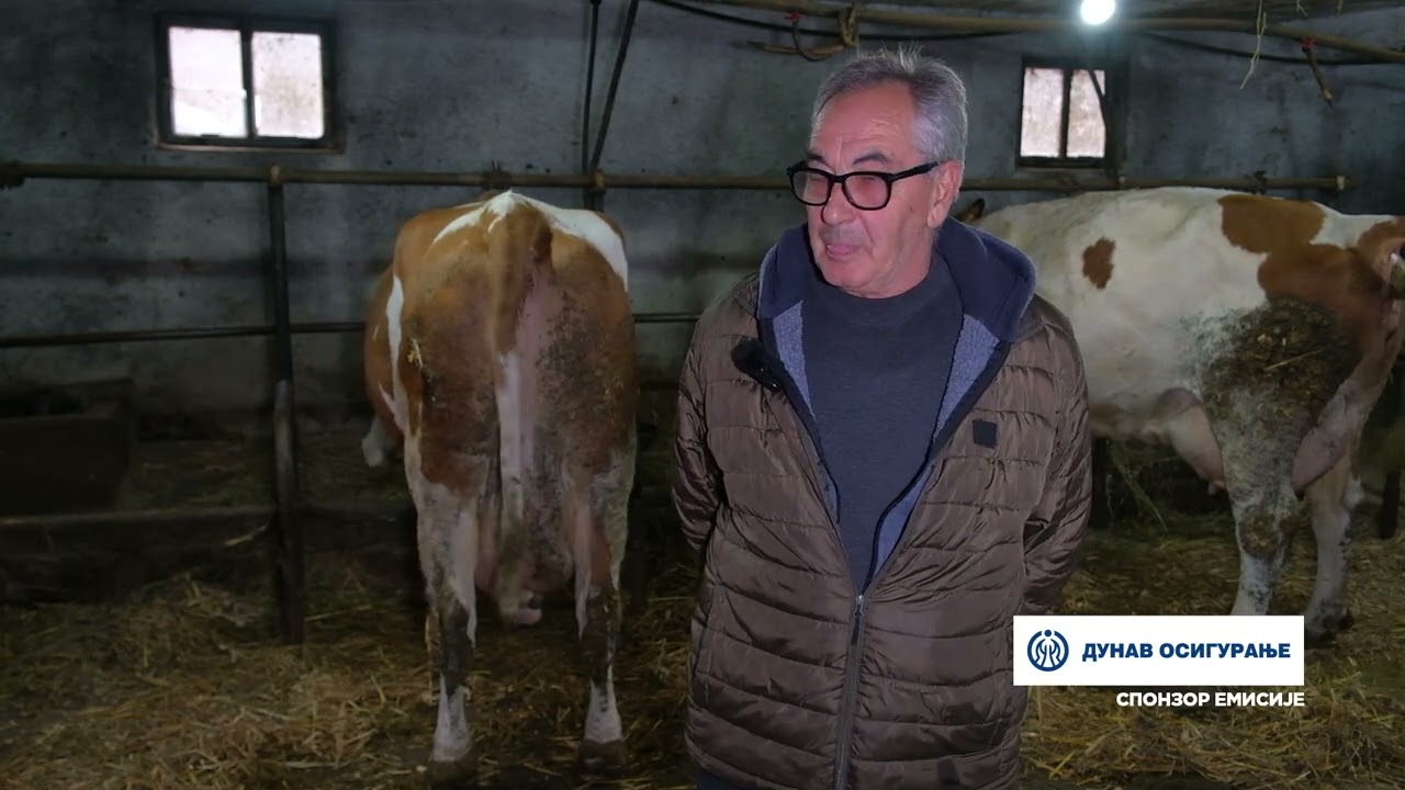Složno, uspešno! ep. 252 14.01.2025. Farme Ivković, selo Togočevce kod Lebana, mlečno govedarstvo
