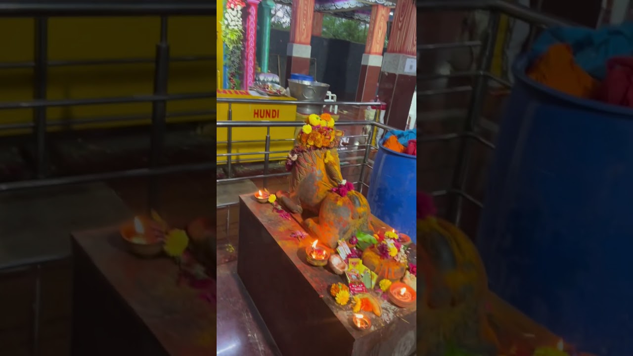 #poojithastories #trendingshorts #minivlog #latestnews #vlog #bonallu #bonalu #dj #bonalusongs2026