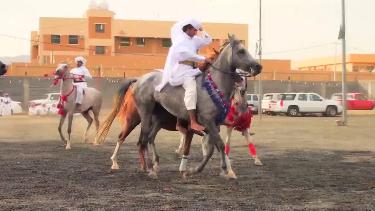 حفل قبيلة آل رغيب آل الهندي بمناسبة عيد الفطر المبارك 1437هـ