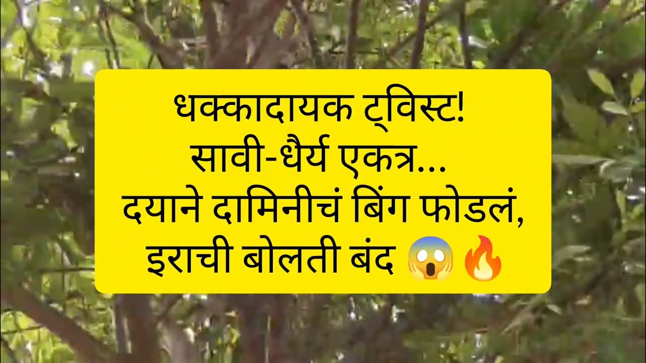धक्कादायक ट्विस्ट! सावी-धैर्य एकत्र… दयाने दामिनीचं बिंग फोडलं, इराची बोलती बंद 😱🔥