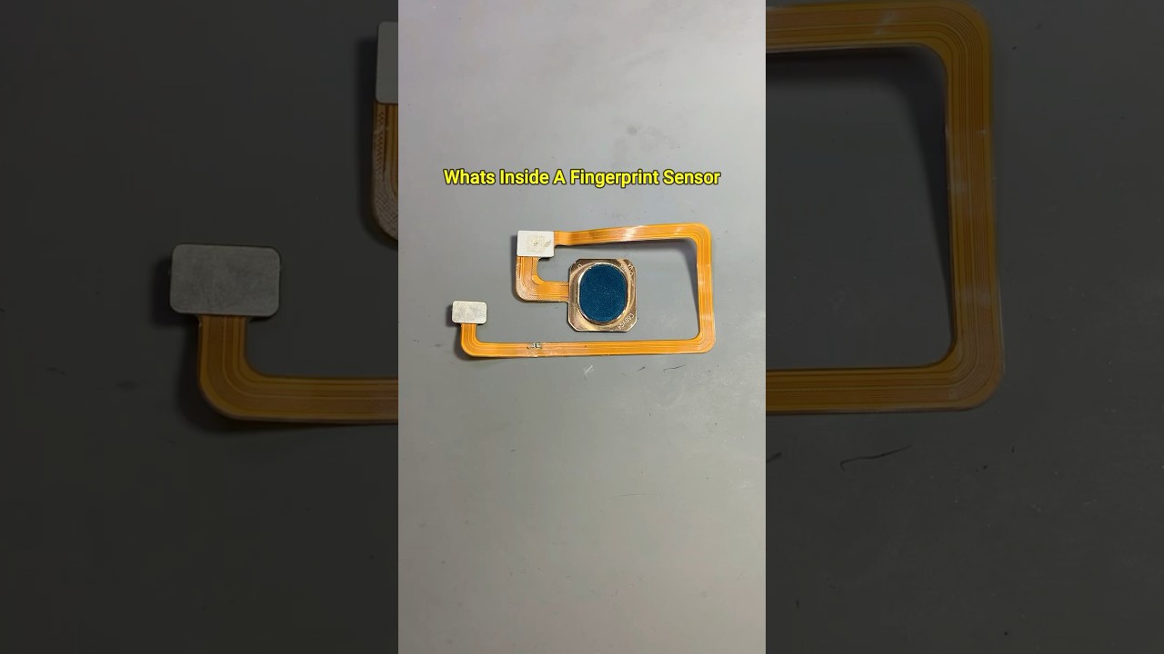 Whats Inside A Fingerprint Sensor