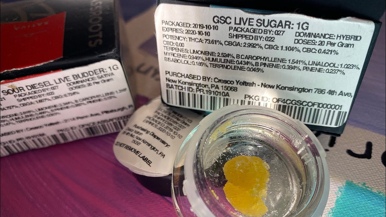 Grassroots live sugar grassroots 🔥💨