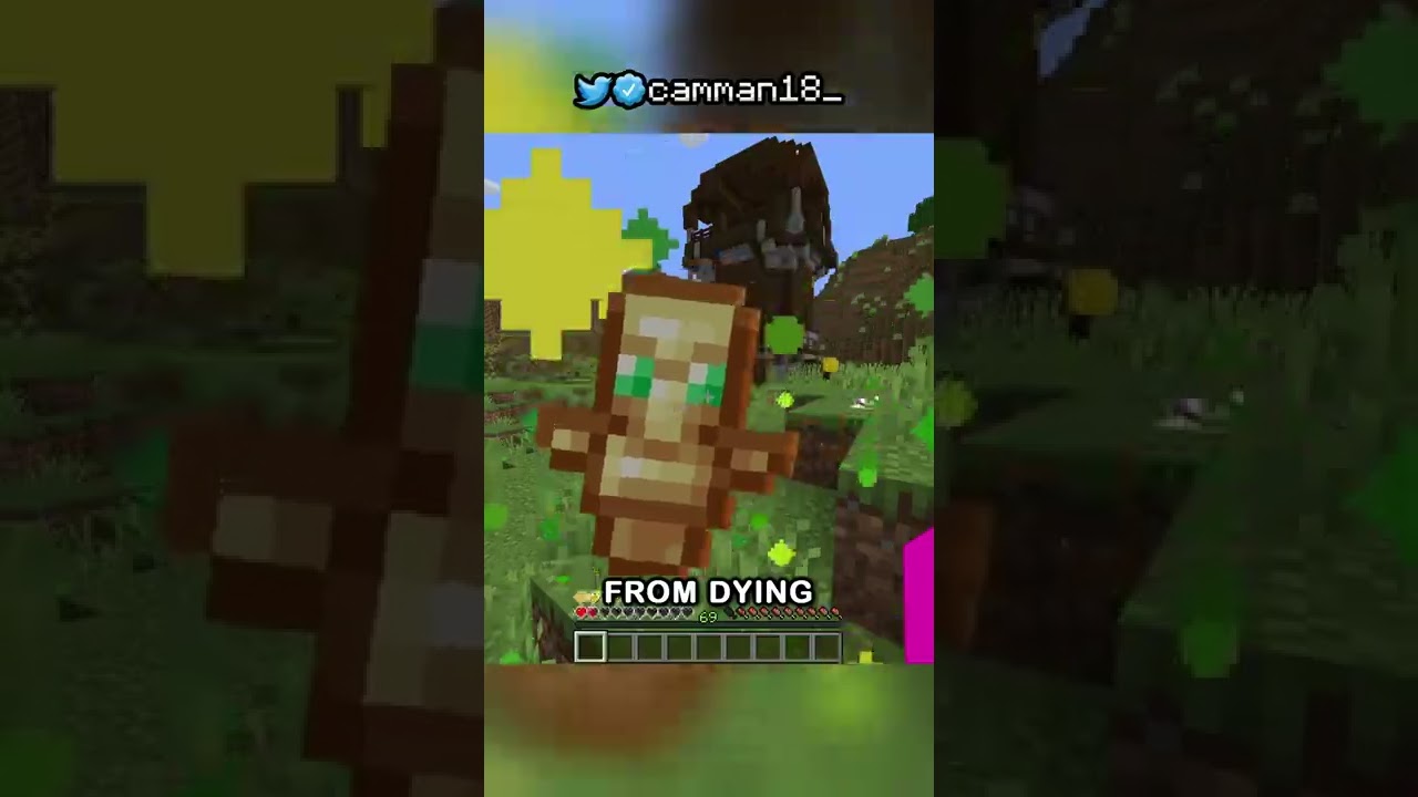 WHY DOES THE TOTEM OF UNDYING EXIST?!?!!