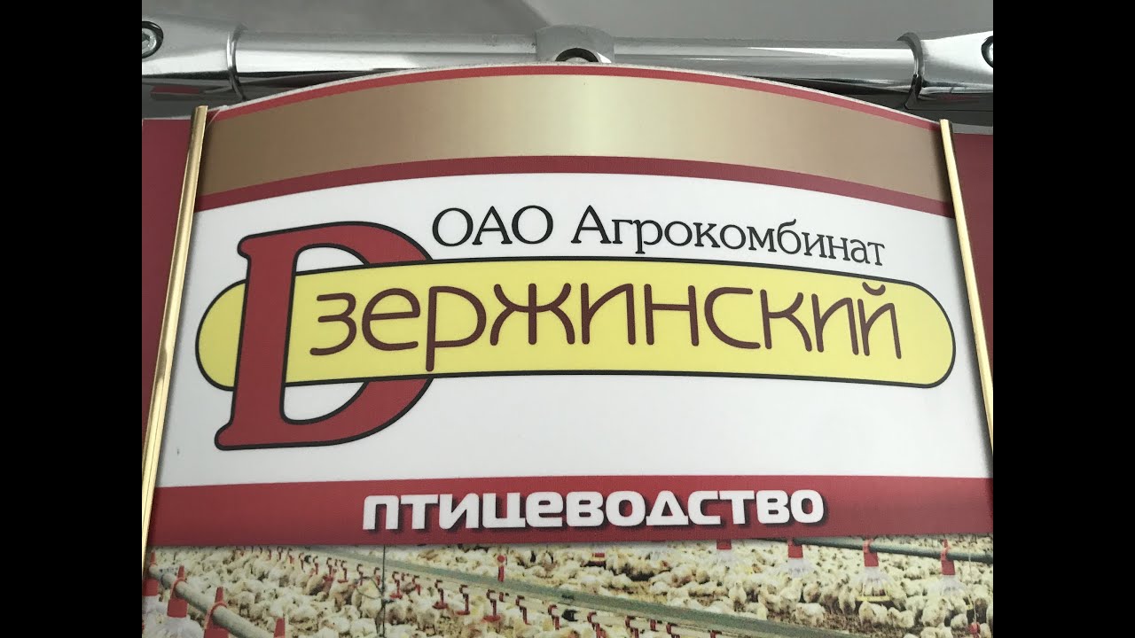 Фаниполь. Агрокомбинат Дзержинский. Поговорили о референдуме и изменениях в конституции Беларуси