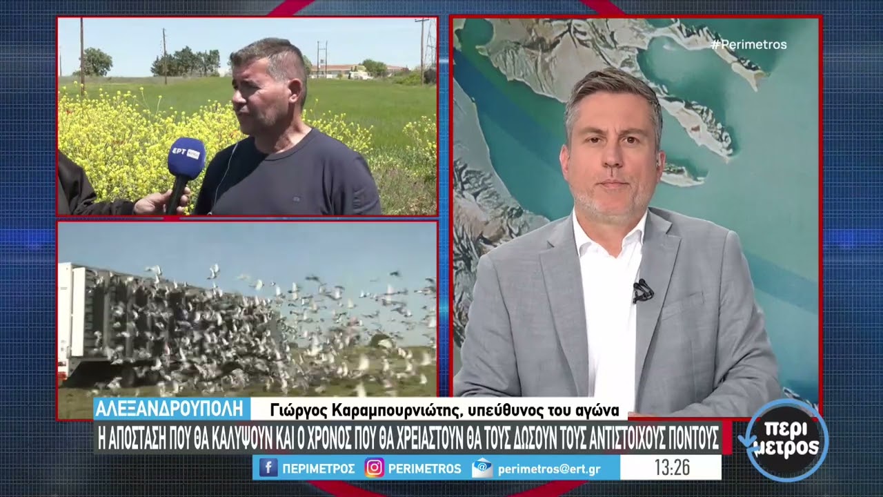 Πέντε χιλιάδες ταχυδρομικά περιστέρια ξεκινούν τον αγώνα από το τελωνείο των κήπων