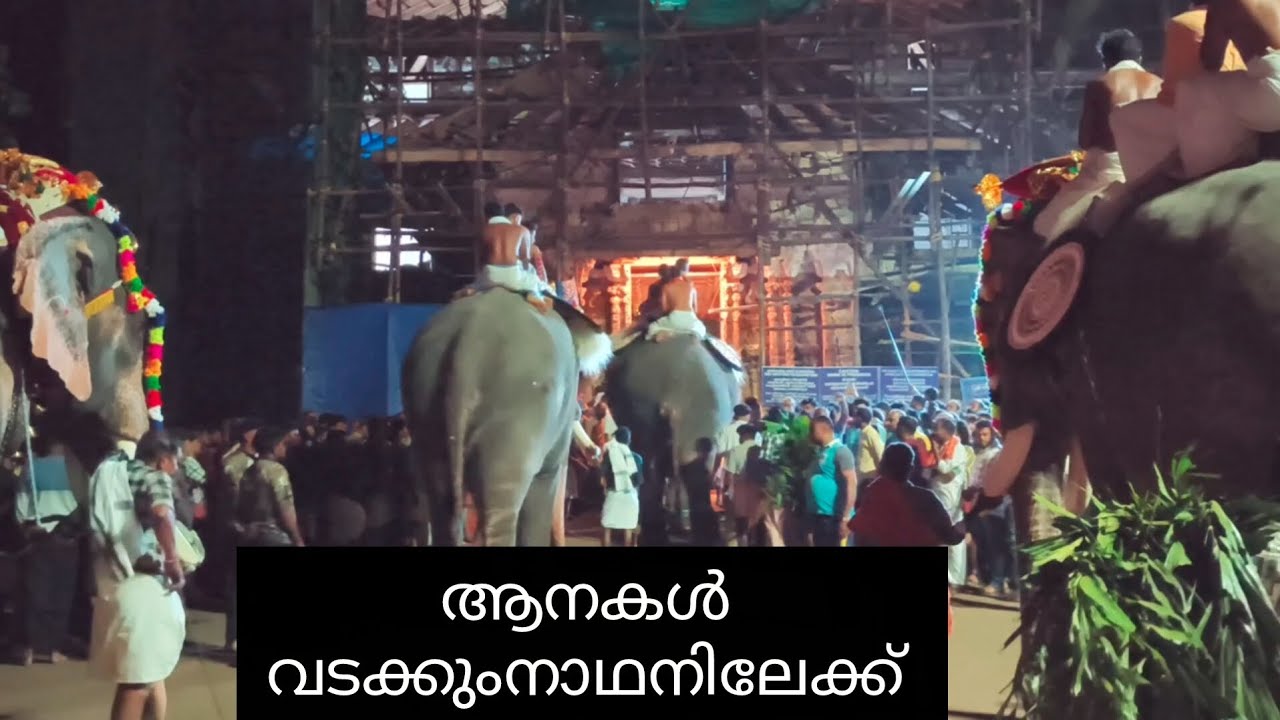 പാറമേക്കാവ് വേല വടുക്കുംനാഥനിലേക്ക് ❤️
