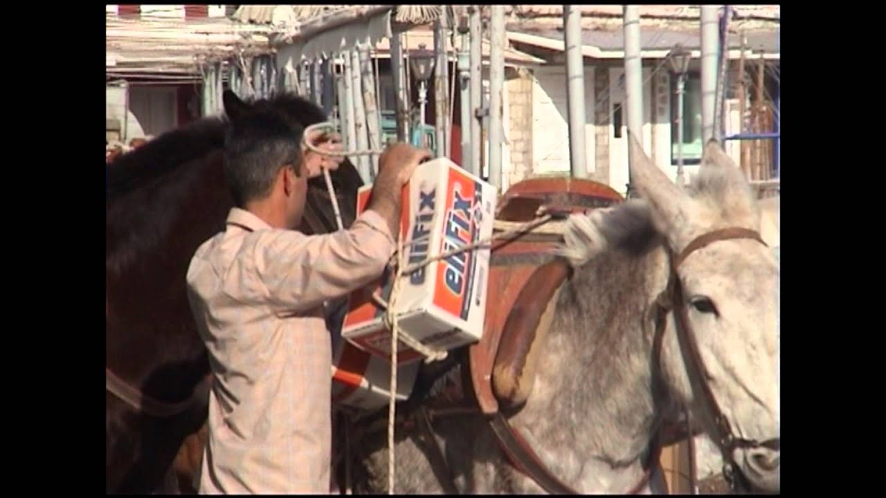 Edited - AA FILMS - Hydra Donkeys - FINAL EDIT