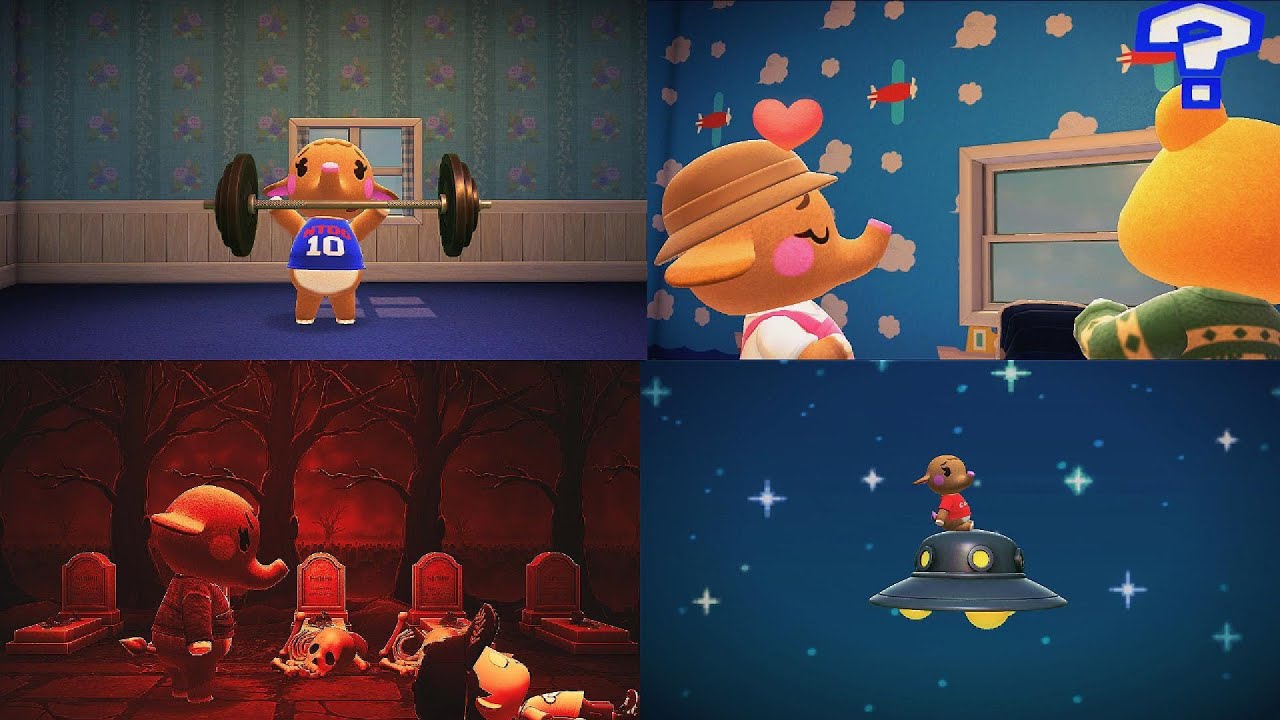 Picking Ellie's Birthday Gift: Animal Crossing New Horizons