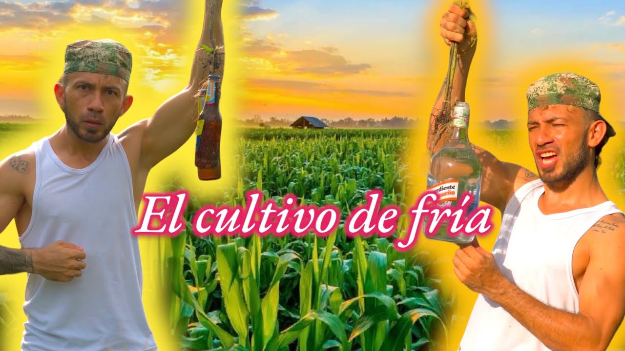 El cultivo de fría