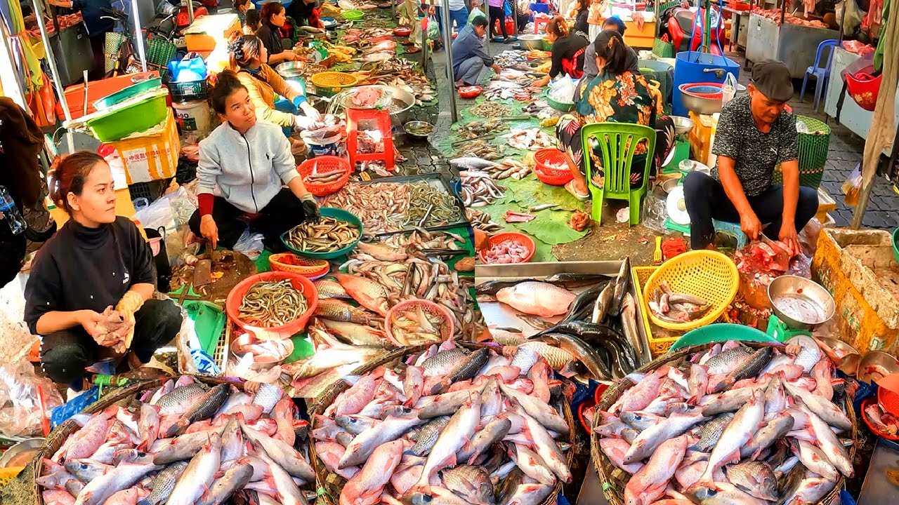 Cambodia Fresh Fish Market. Rich in Fish, Noodles, Vegetables, Pork, Chicken, Fruits.
