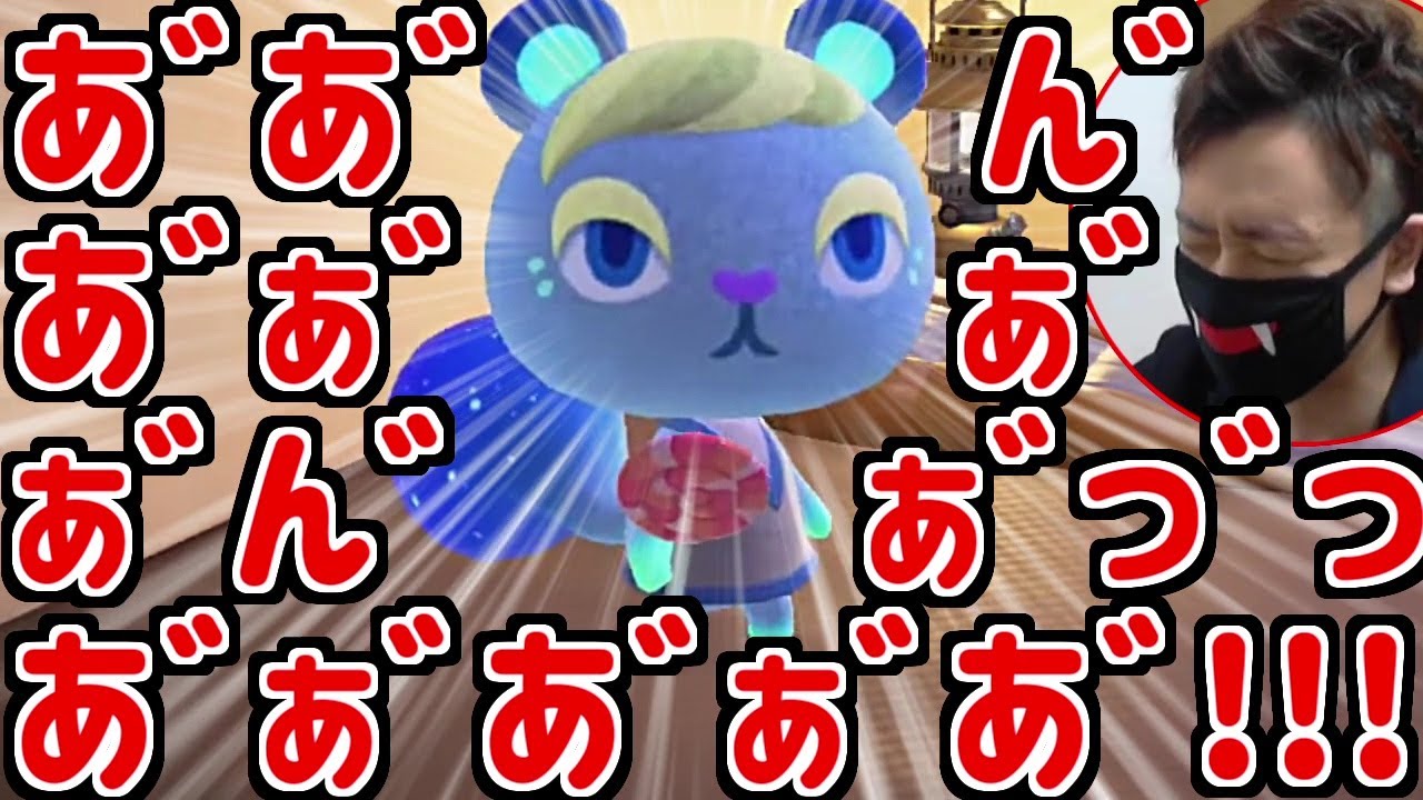 (あつ森)半年間ずっと会いたかった住民にキャンプサイトで出会ってしまったガチ勢の反応(あつまれどうぶつの森)