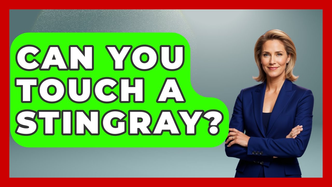 Can You Touch A Stingray? - The Marine Life Explorer