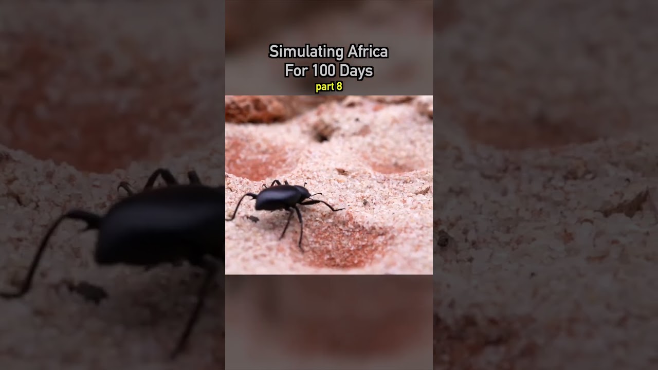 Simulating africa for 100 days 🌵pt8 