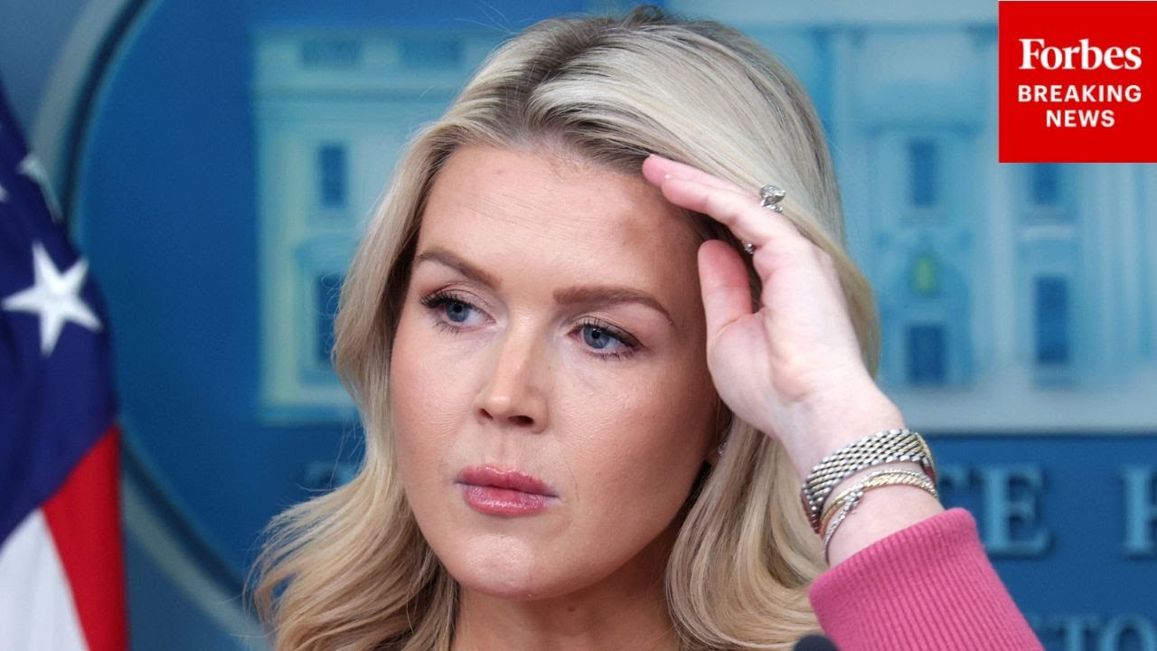 Leavitt Asked: 'Is The President Still Committed To Deportations Of The 20 Million Illegals?'