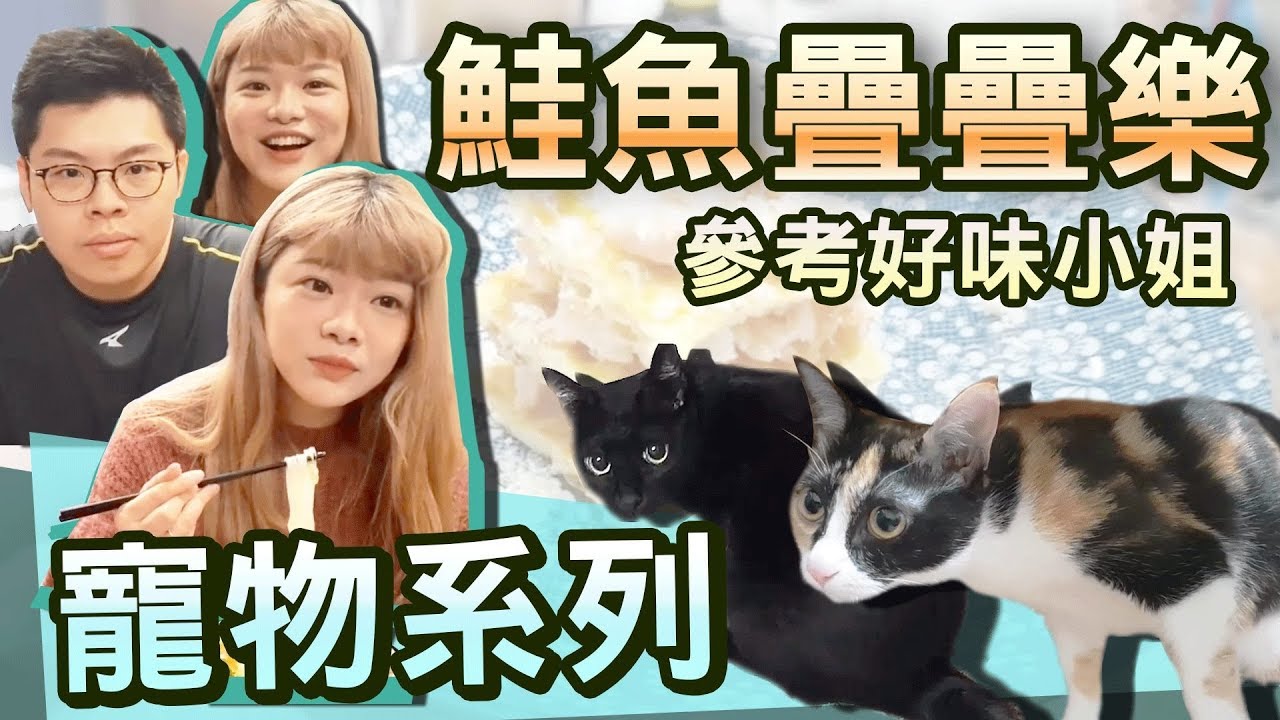 【寵物系列】#5 料理大突進？吃到連探探都 feat. Leggy、探探、努努