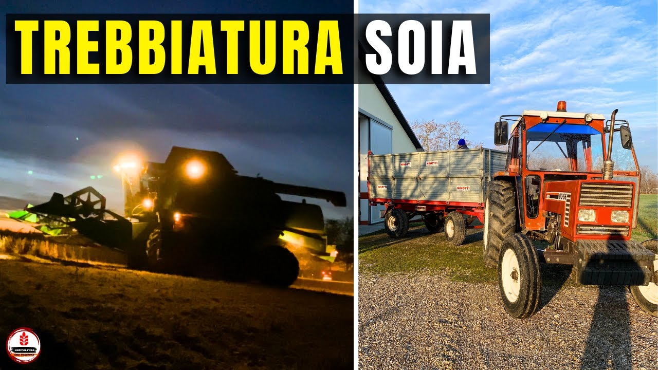 COME E' FINITA LA STAGIONE?? TREBBIATURA SOIA