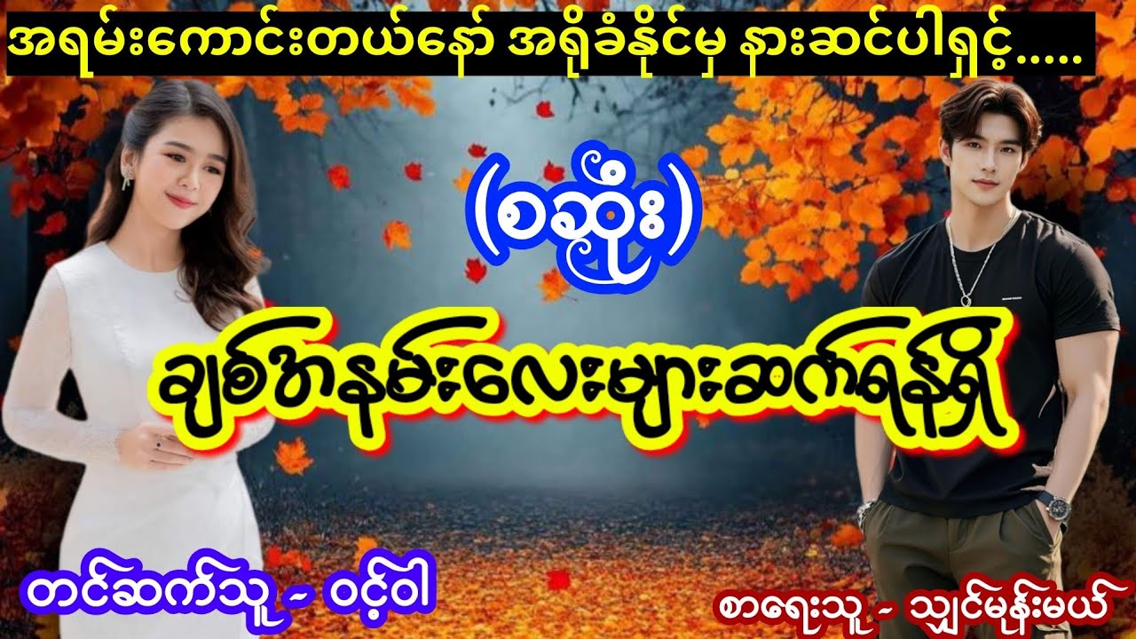 ချစ်အနမ်းလေးများဆက်ရန်ရှိ (စဆုံး) #အိမ်ထောင်ရေးဇာတ်လမ်း #nightstory #ဝင့်ဝါ #lovestory 