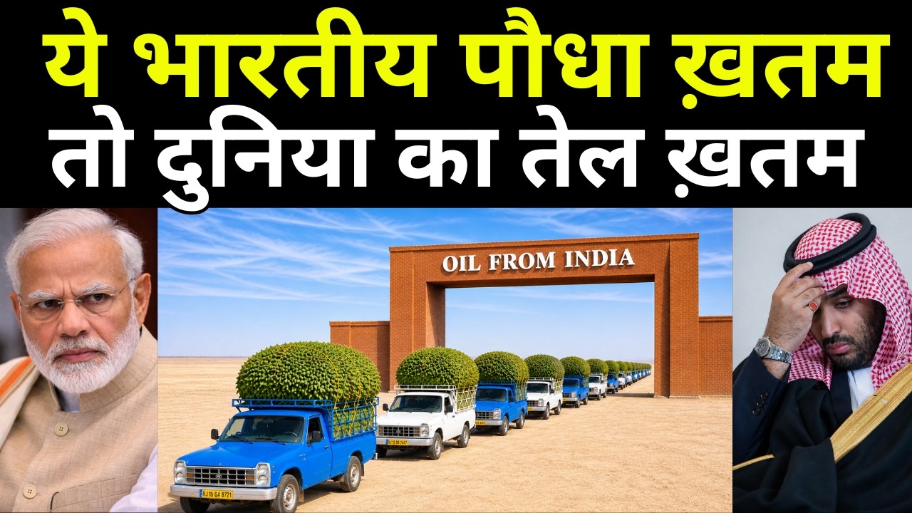 ये भारतीय पौधा ख़तम हुआ तो पेट्रोल निकलना बंद हो जाएगा | Only Indian Plant Responsible for Petroleum