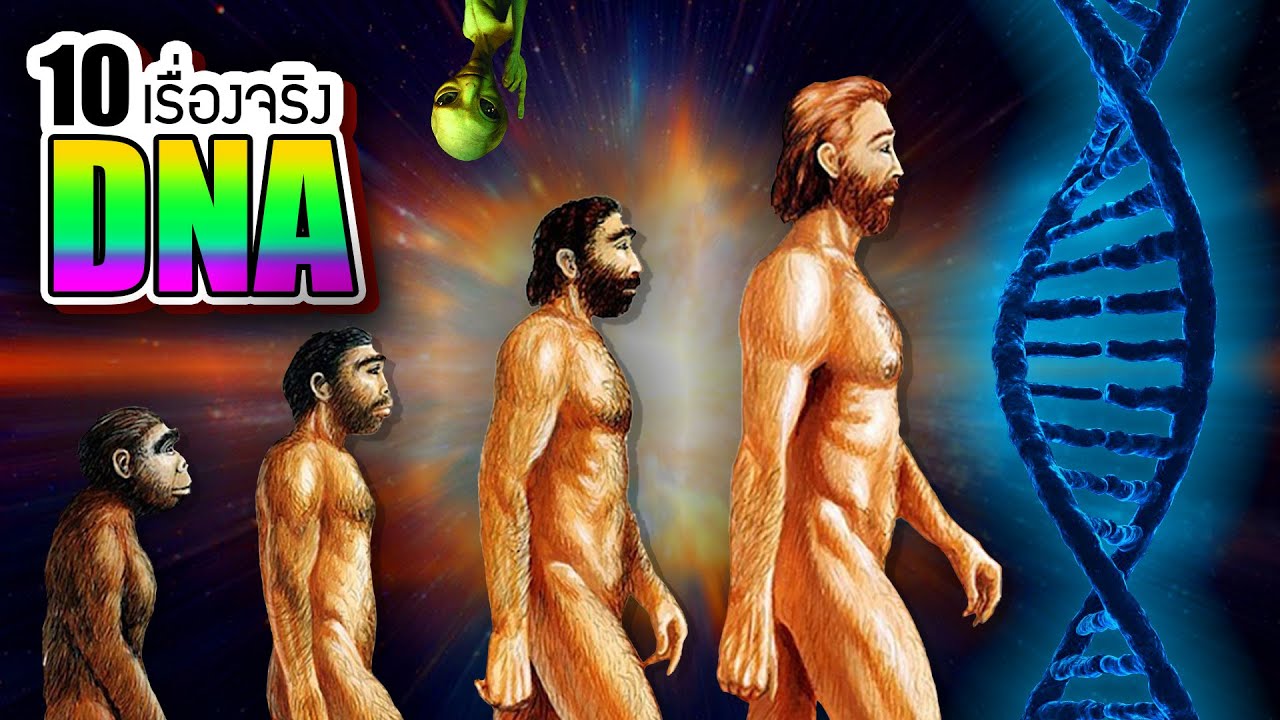 10 เรื่องจริงของ DNA (ดีเอ็นเอ) ที่คุณอาจไม่เคยรู้ ~ LUPAS