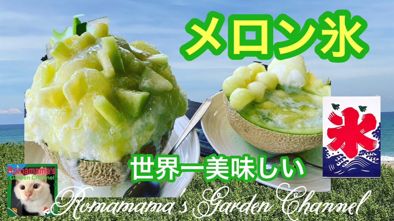【メロン】世界一美味しいメロンのかき氷　#伊良湖　#NVRLND