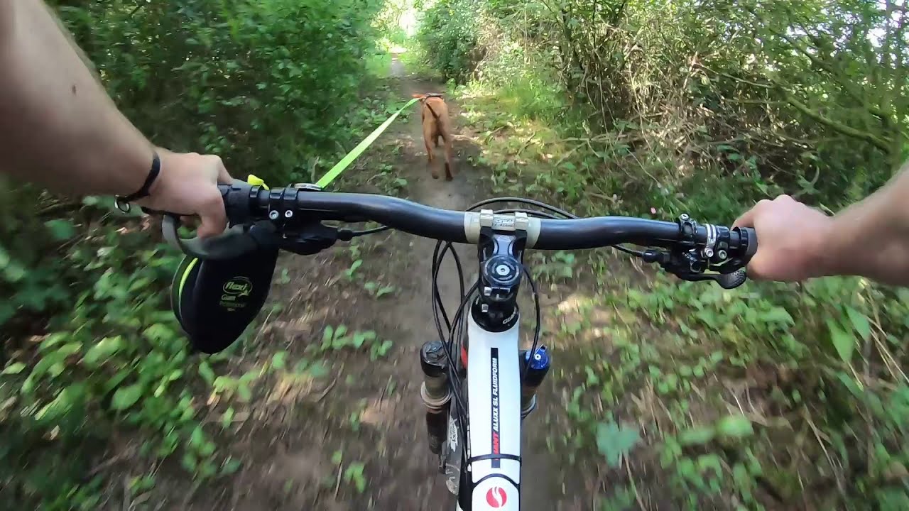 Trail Dogz Episode 1 - Sunday 19th July 2020 (Bike ride with Freddy the Vizsla)