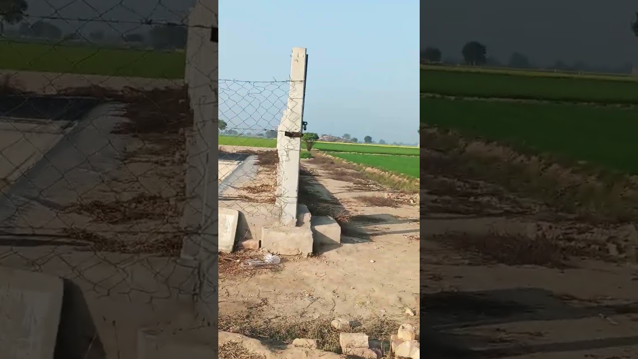 #kheti wadi#vlog#vlog#vidio #viralvideo #viralvideo #
