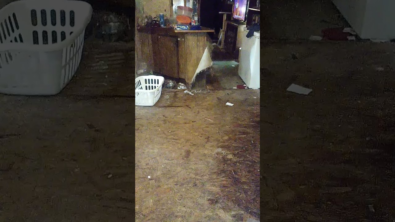 Riley Morgan Video