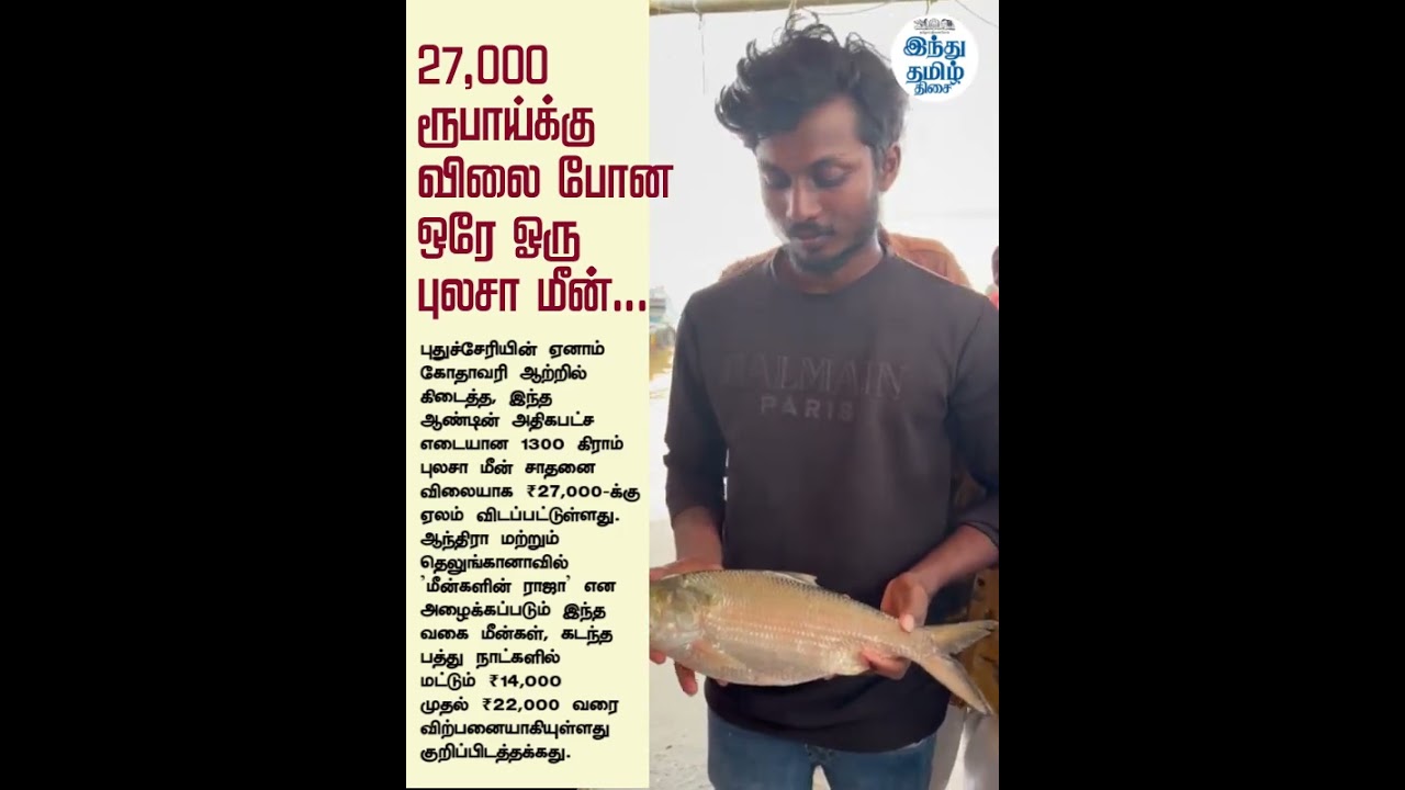 27,000 ரூபாய்க்கு விலை போன ஒரே ஓரு  புலசா மீன்...