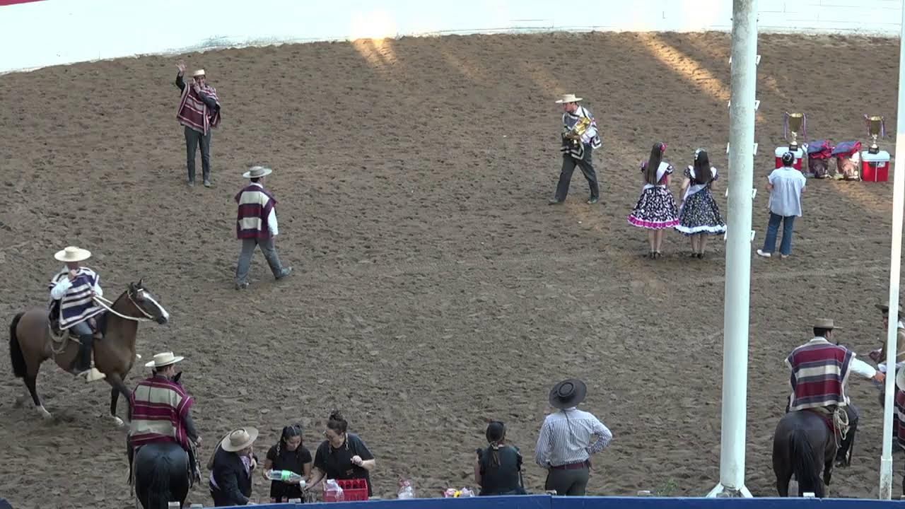 RODEO OFICIAL CLUB PEMUCO RIO PAL - PAL - (Asoc.Ñuble Cordillera) - SERIE CAMPEONES