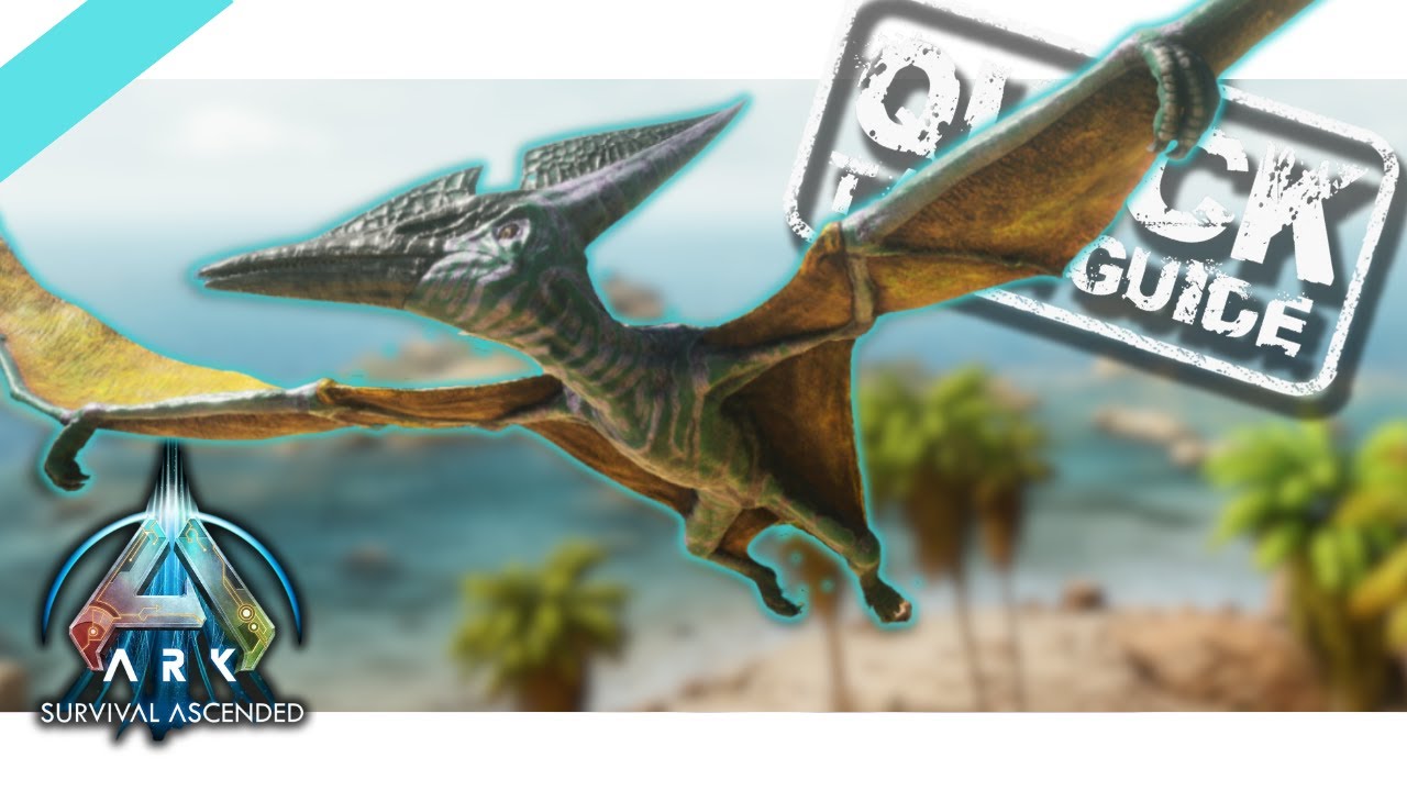 How To Tame A Pteranodon Ark Ascended ASA Quick Taming Guide
