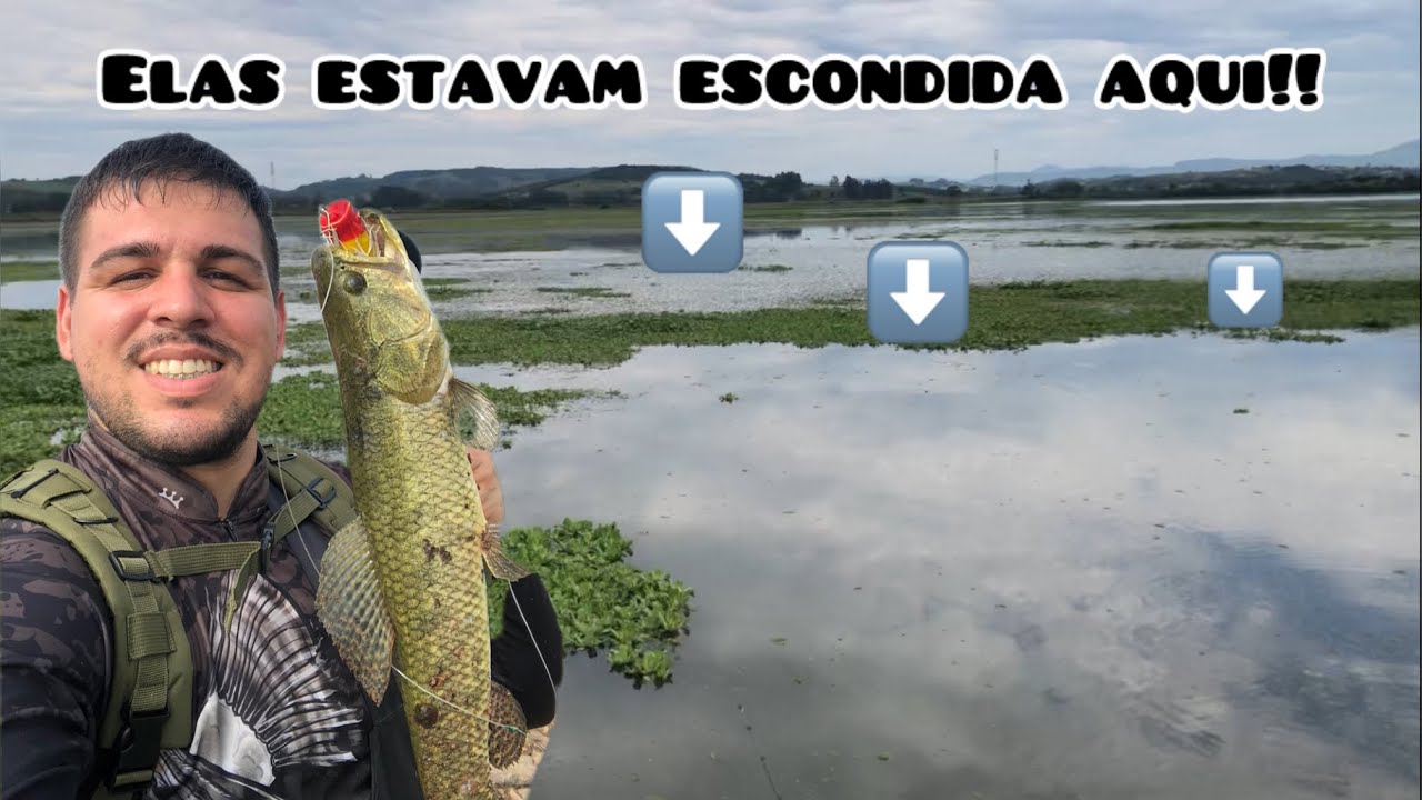 PESCA DE TRAÍRA Manhã de Pura Ação na barragem de Santo Antônio! #pescaria