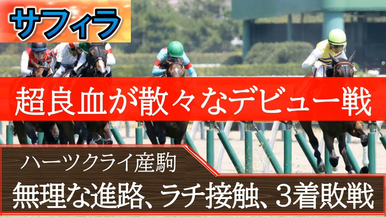 【一口馬主】散々なデビュー戦「サフィラ」松山騎手の危機回避能力は？狭い進路に突っ込んでラチに接触したサフィラが可哀そう・・・