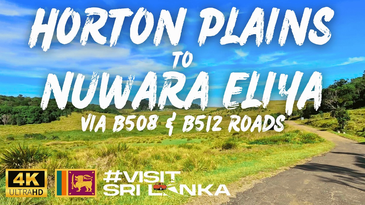 Horton Plains to Nuwara Eliya | හෝර්ටන් තැන්න සිට නුවරඑළිය | B508 & B512
