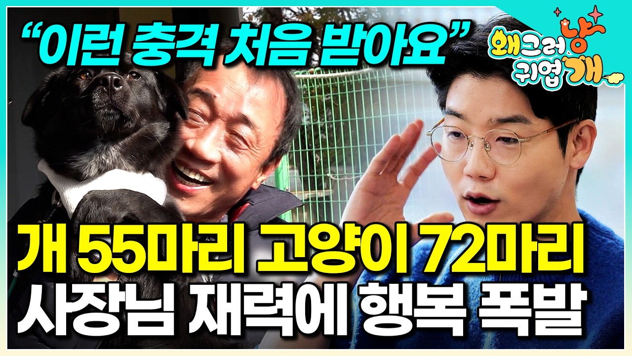 &ldquo;127마리 유기견 유기묘&rdquo; 동물 관리 직원 20명 따로 채용한 수상한 건설회사 정체 │#왜그러냥귀엽개