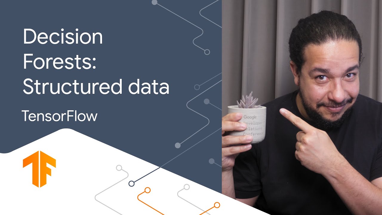 What are Decision Trees?