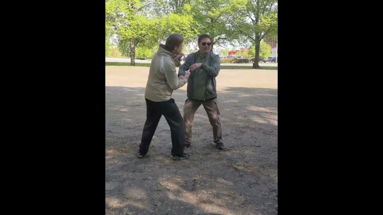 Taiji with Baji. Lü Baochun in Vaasa june 2023.