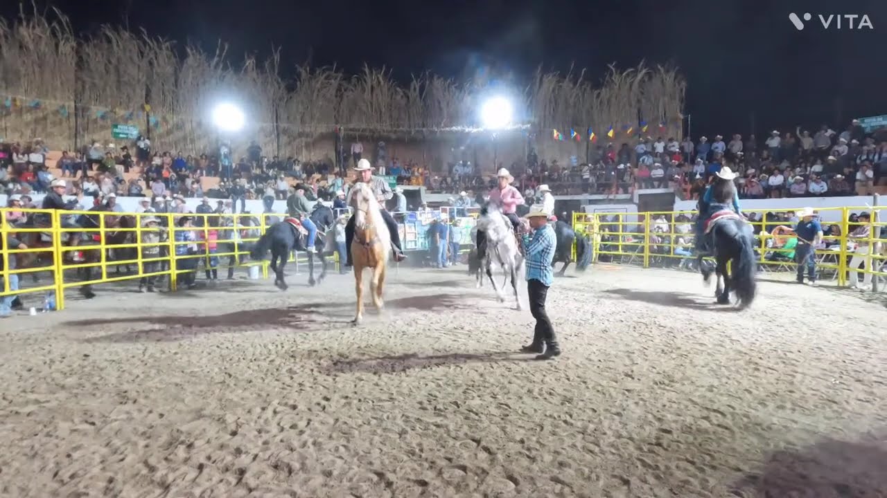 PURO CABALLOS BAILADORES SAN MARCOS JALISCO