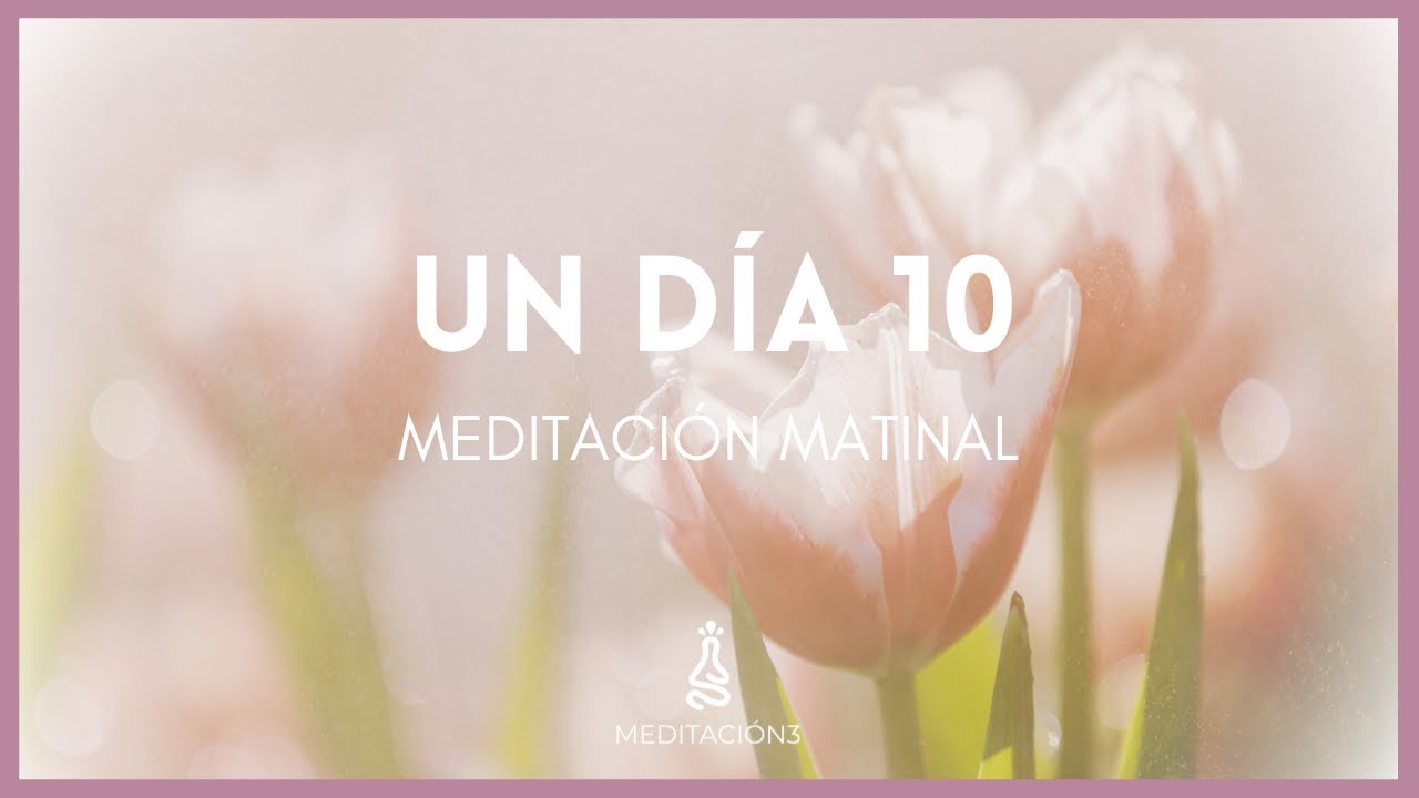 Meditación Matinal PARA UN DÍA MARAVILLOSO!! 🦋