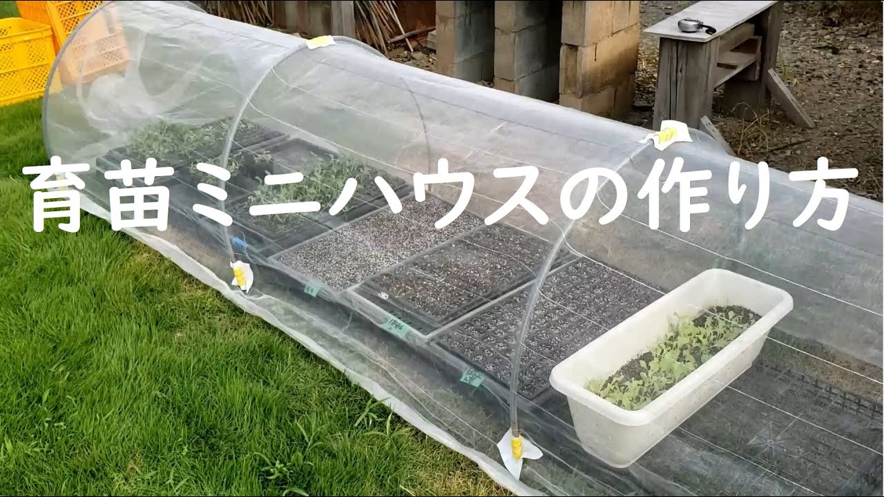 育苗用ミニハウスの作り方