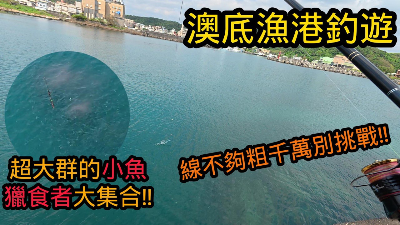 【獵獵釣魚】小魚換大魚終於成功了!?線不夠粗千萬別來挑戰#釣魚#磯釣#長標#阿達利#澳底漁港#烏魚#厚殼魚#尖梭#魂師手作