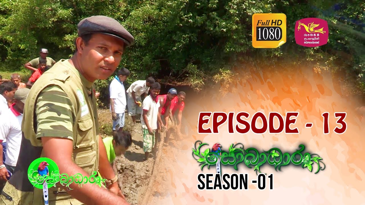 Sobadhara | Season - 01 | Episode -13 | Sobadhara Rupavahini