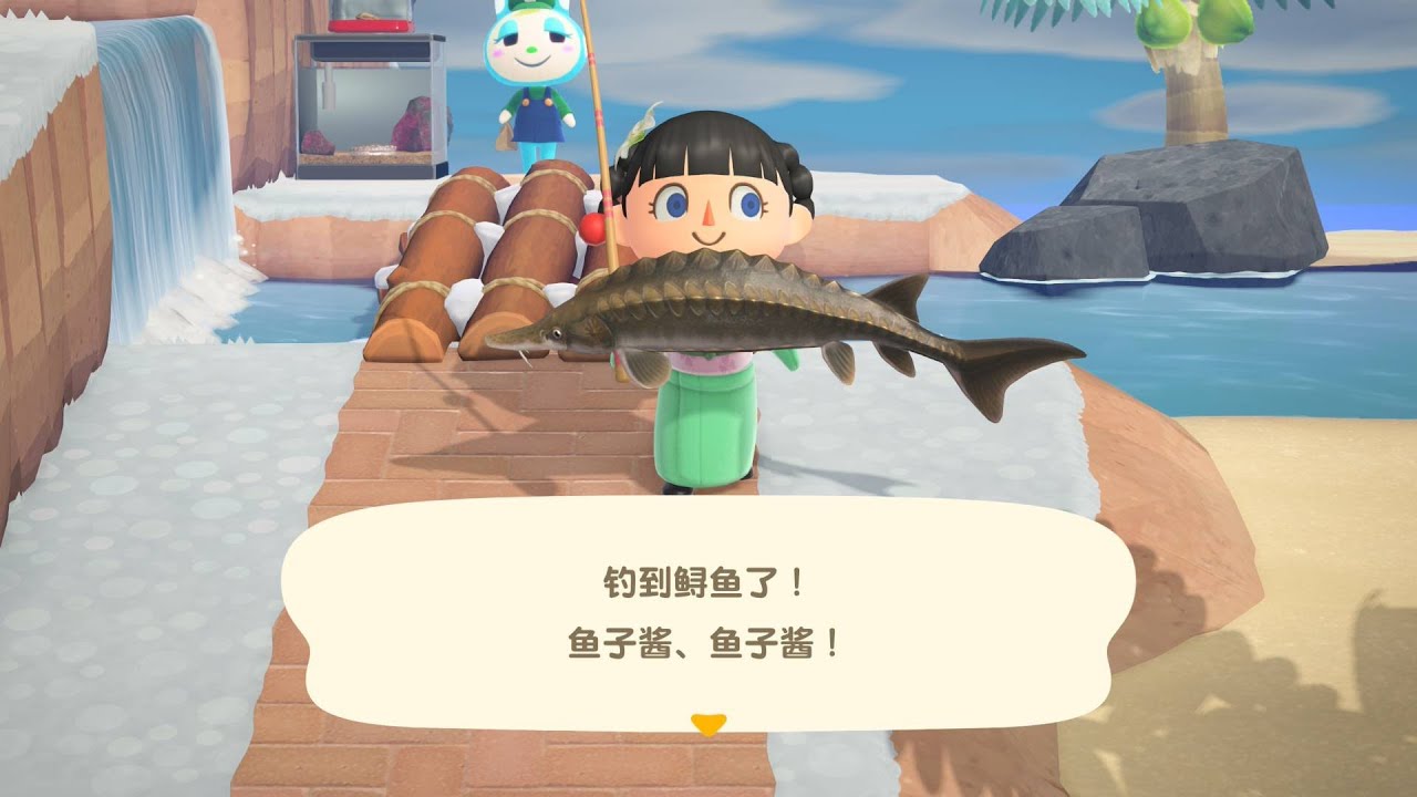 （初見歡迎）今天弄VIP客房嗎 #動物 #建築 #動物森友會 #ns2