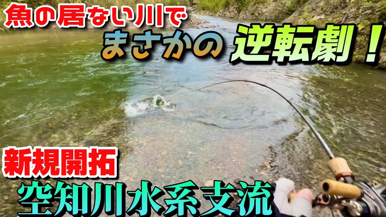 【渓流イトウ】魚の居ない川を新規開拓したら、まさかのサイズの幻の魚が･･･