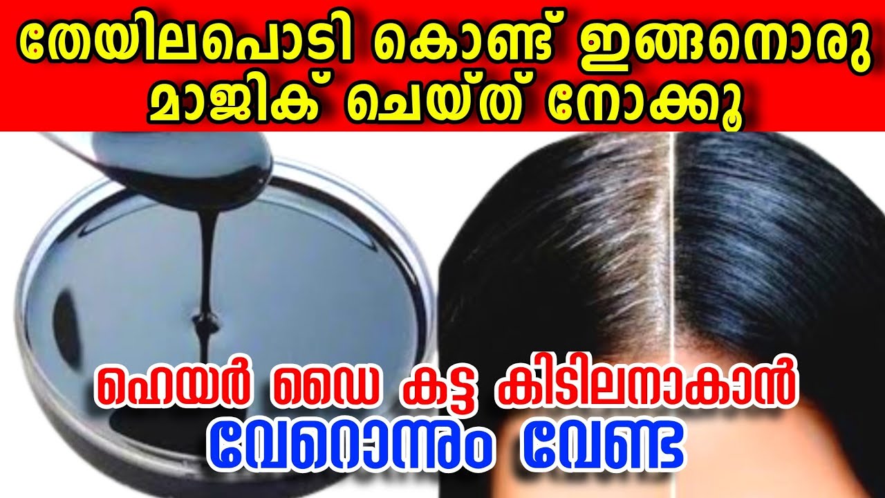 തേയില പൊടികൊണ്ട് മുടിയ്ക്ക് കട്ട കറുപ്പ് കിട്ടാൻ ഇതാണ് സീക്രെട്ട്‌ | Effective black hair dye secret