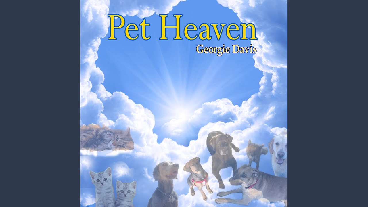 Pet Heaven