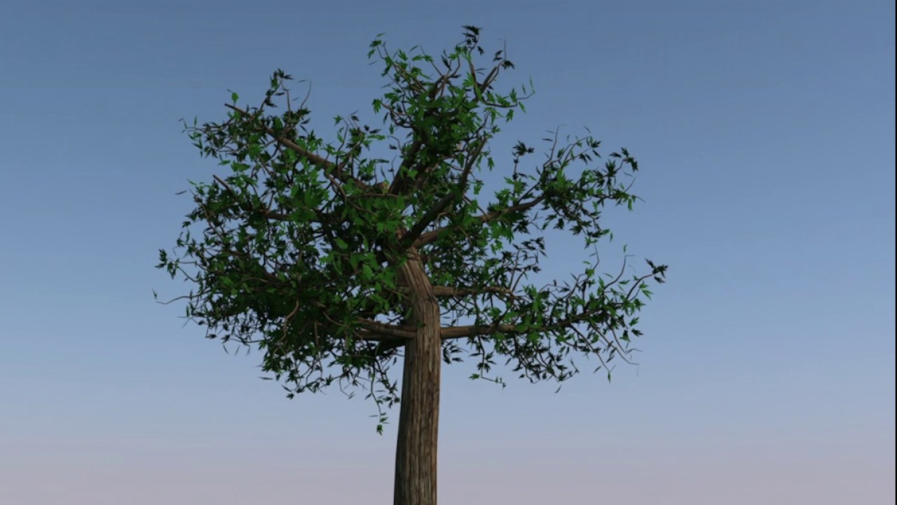 C4D speedmodeling tree