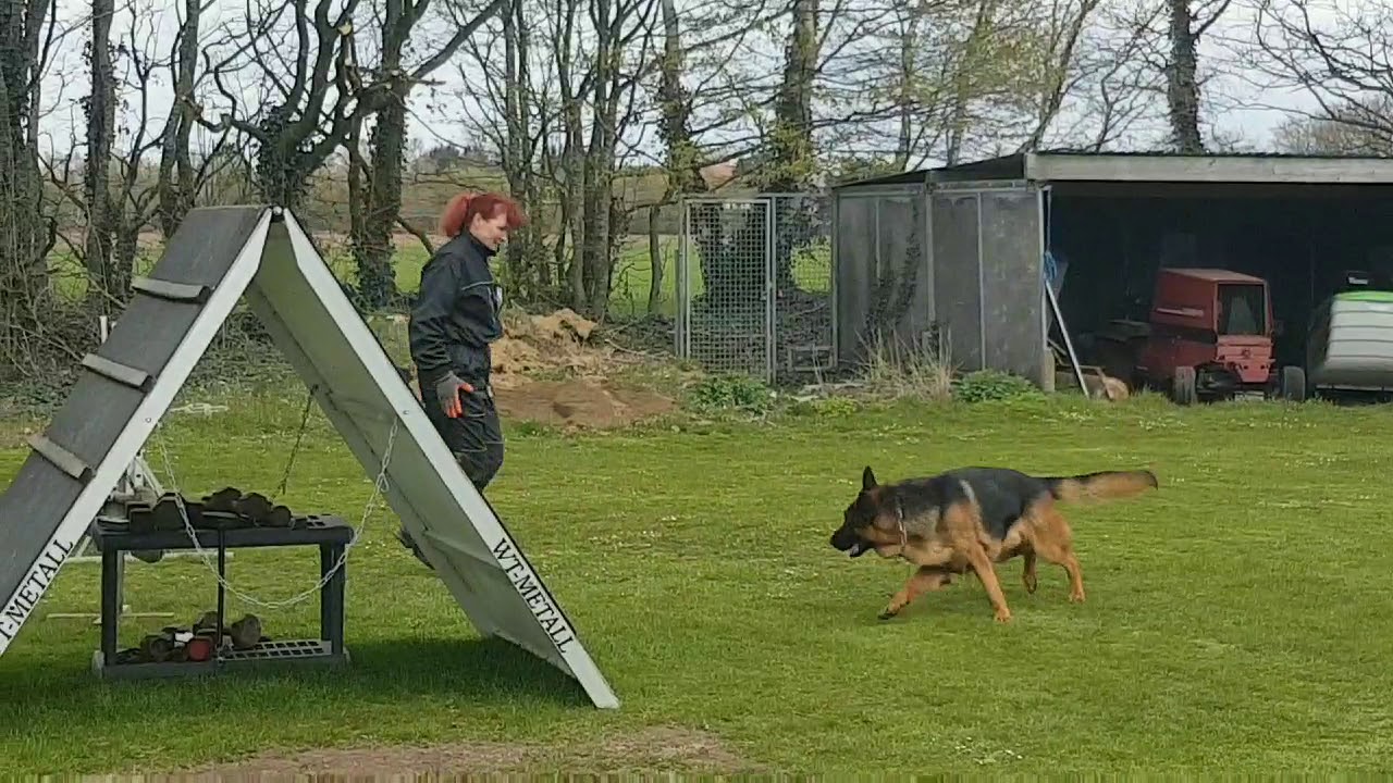 Fury v.d. Tempelhoeve