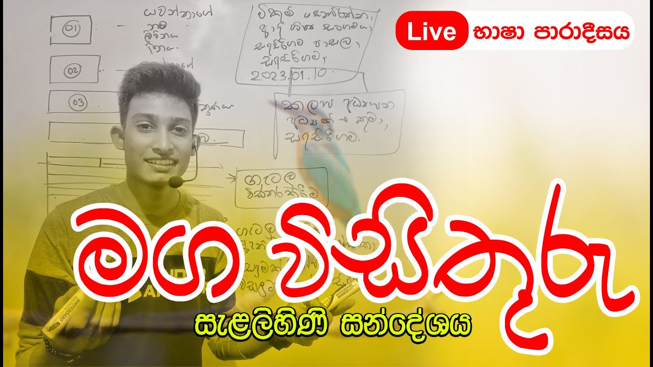 මග විසිතුරු | Online සිංහල පන්තිය @bashaparadisaya #rashmikasooryabandara #sinhala